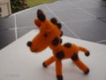 giraffe-203